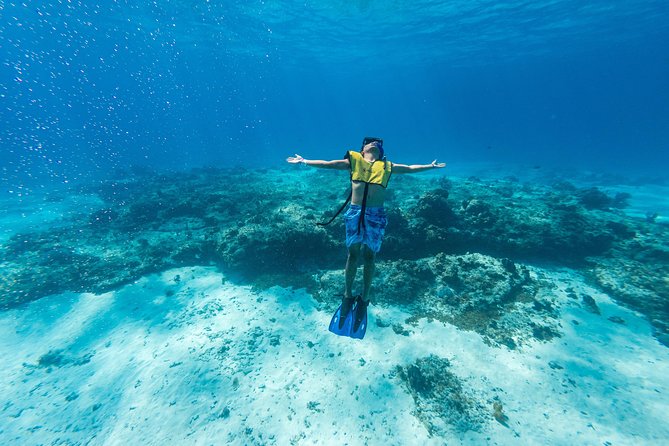 Cozumel Catamaran Snorkeling Tour & lunch® - El Cielo and El Cielito: beautiful, but brief