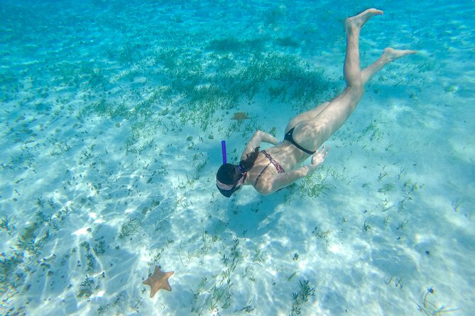 Cozumel Catamaran Snorkeling Tour & lunch® - Playa Mia lunch and time on land
