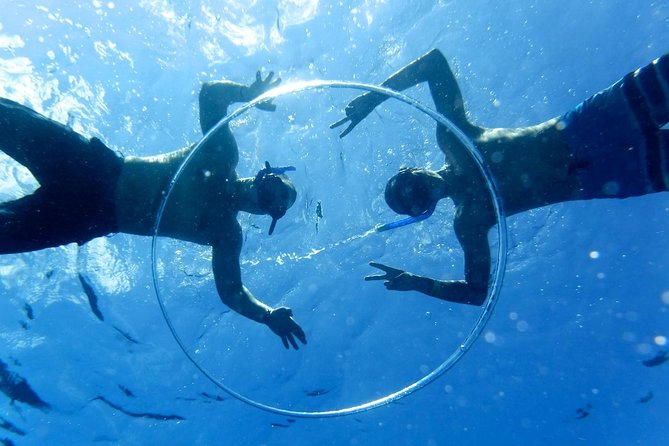 Cozumel Catamaran Snorkeling Tour & lunch - Palancar Reef and the guided snorkeling session