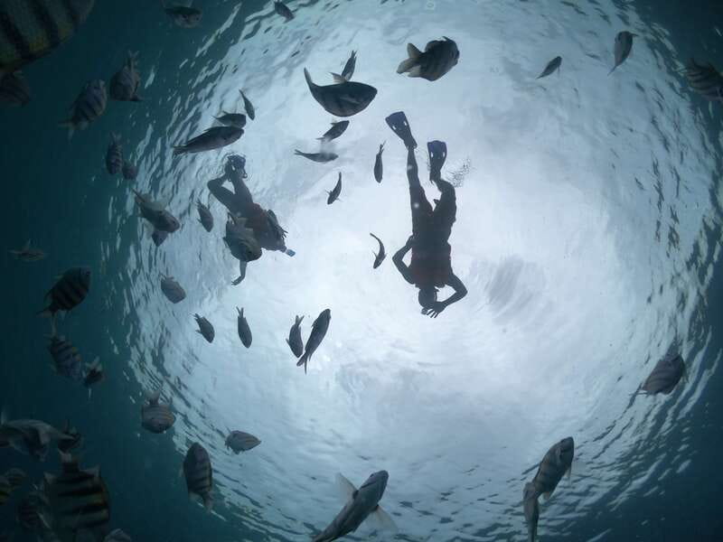 Cozumel: Clear Boat Ride and Snorkeling Trip - The snorkeling stop: worthwhile, but not lengthy