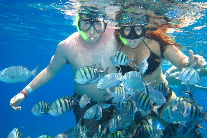 Cozumel Coral Reef Snorkeling by Glass Bottom Boat with Guide - Water conditions and what you may see