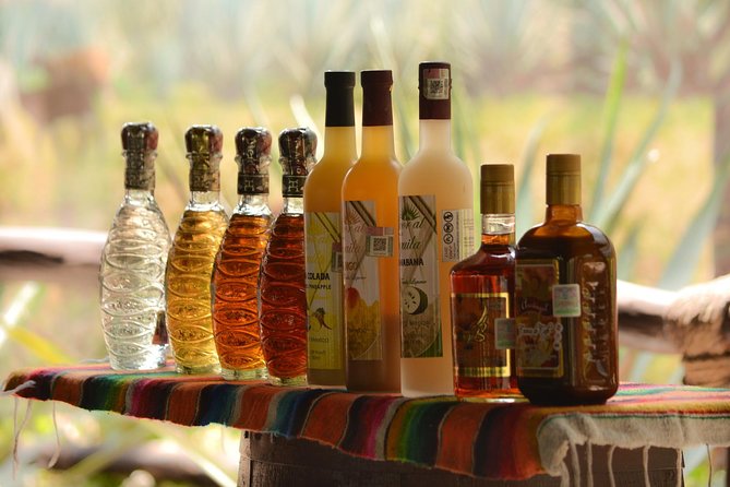 Cozumel Cultural Jeep Tour with Mayan Village and Mexican Lunch - The Jeep, weather, and comfort concerns