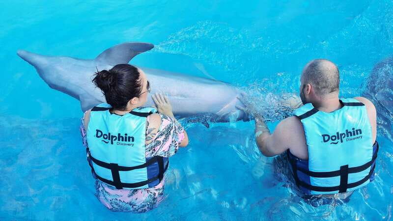 Cozumel: Dolphin Royal Connection and Manatee Interaction - Key points at a glance