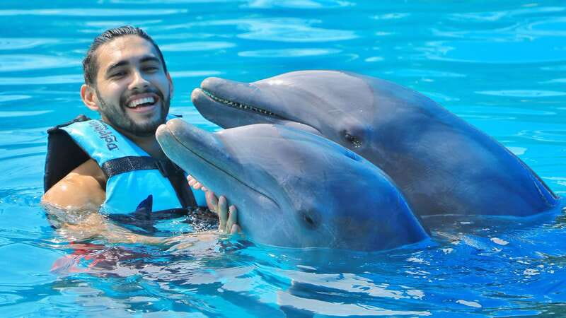 Cozumel: Dolphin Royal Connection and Manatee Interaction - What the $135 price really covers