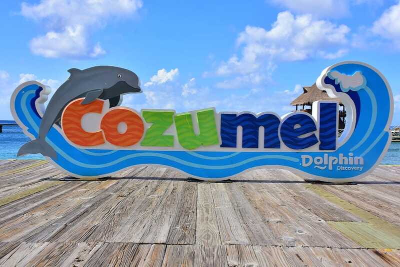 Cozumel: Dolphin Royal Connection and Manatee Interaction - Chankanaab Park, lunch, and the VIP area