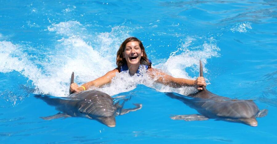 Cozumel: Dolphin Royal Connection and Manatee Interaction - Height rules and family suitability