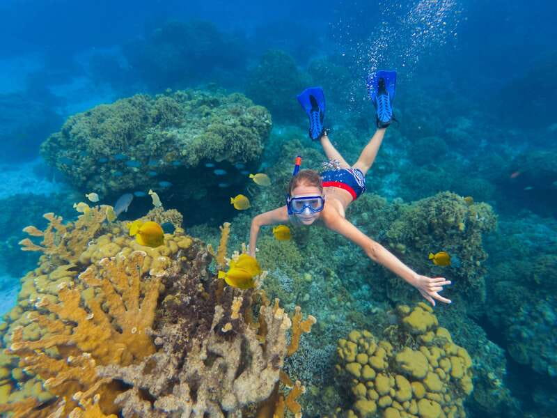 Cozumel: El Cielo, Palancar Reef, and Beach Party with Food - Palancar Reef: beautiful water, busy conditions