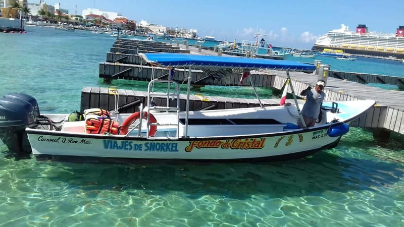 Cozumel: El Cielo & Palancar Snorkel with Open Bar & Ceviche - What this Cozumel snorkel trip is really like