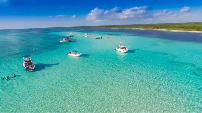 Cozumel: El Cielo & Palancar Snorkel with Open Bar & Ceviche - Palancar Reef: the main snorkeling stop