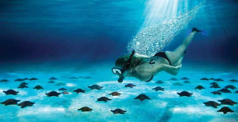 Cozumel: El Cielo & Palancar Snorkel with Open Bar & Ceviche - Is $72 a fair price?