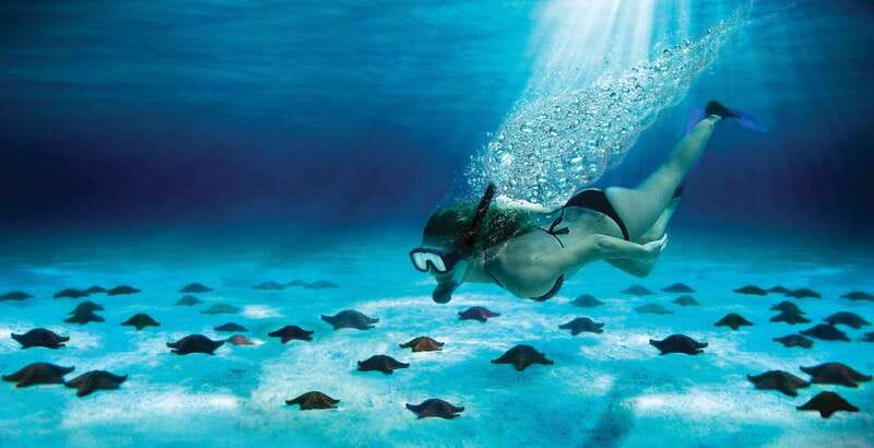 Cozumel: El Cielo & Palancar Snorkel with Open Bar & Ceviche - Finding the boat at the Cozumel ferry pier