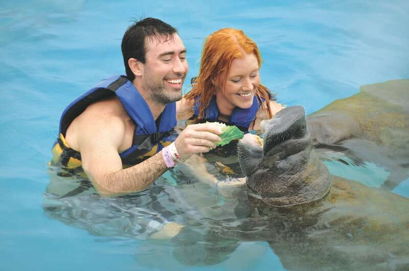 Cozumel: Manatee Encounter, Chankanaab Admission and Buffet - Key Points Before You Book