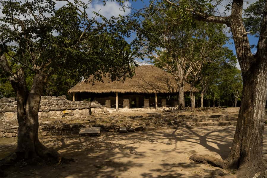 Cozumel: Mayan Ruins Guided Tour with Snorkeling & Lunch - Snorkeling at Playa Uvas