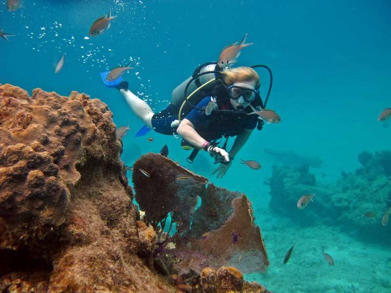 Cozumel: One Tank Scuba Dive and Full Chankanaab Park Access - Key Details Before You Book