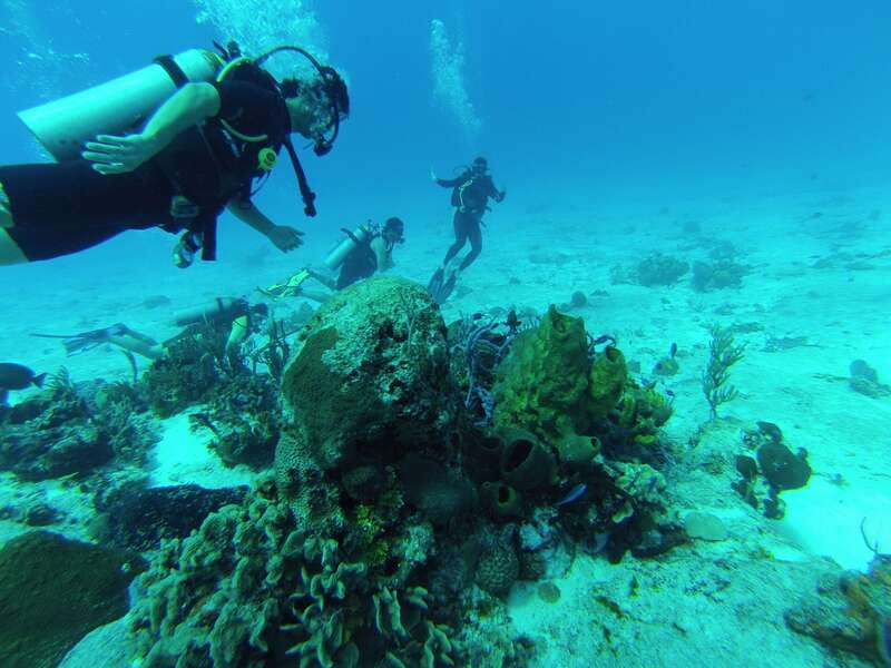 Cozumel: One Tank Scuba Dive and Full Chankanaab Park Access - The Park After Your Scuba Session