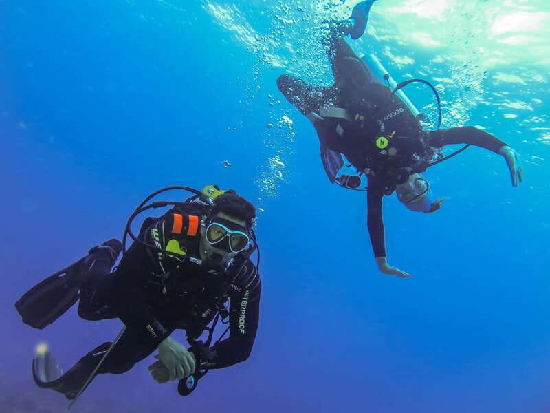 Cozumel: One Tank Scuba Dive and Full Chankanaab Park Access - Who Will Get the Most From This Experience