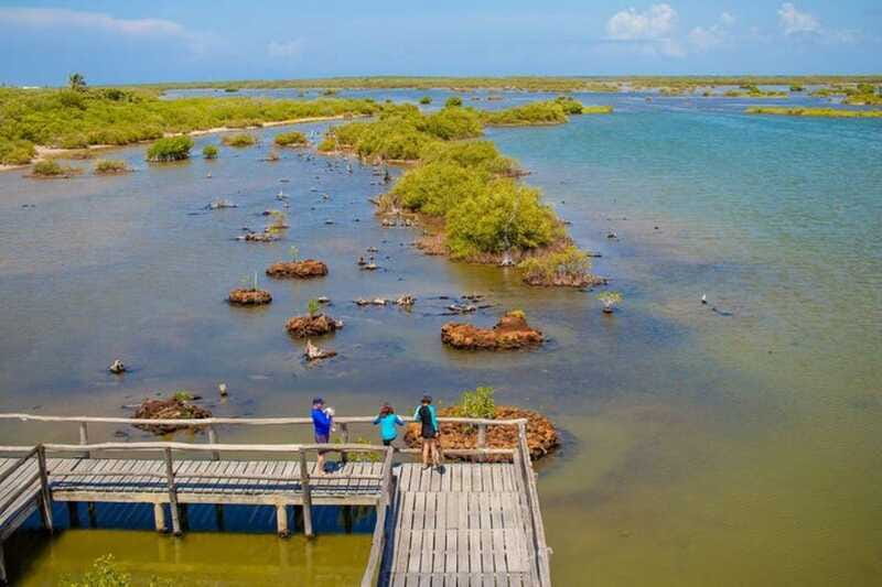 Cozumel: Private Buggy Tour to Punta Sur Park All Inclusive - Who will enjoy this Cozumel outing?