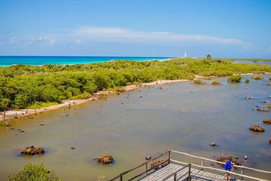 Cozumel: Private Buggy Tour to Punta Sur Park All Inclusive - What the $102 price covers