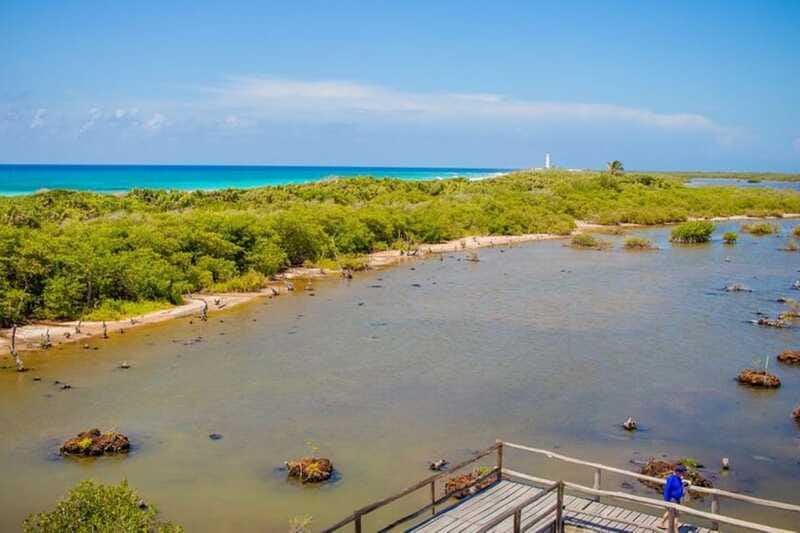 Cozumel: Private Buggy Tour to Punta Sur Park All Inclusive - Sabores de Cozumel and the tasting stop