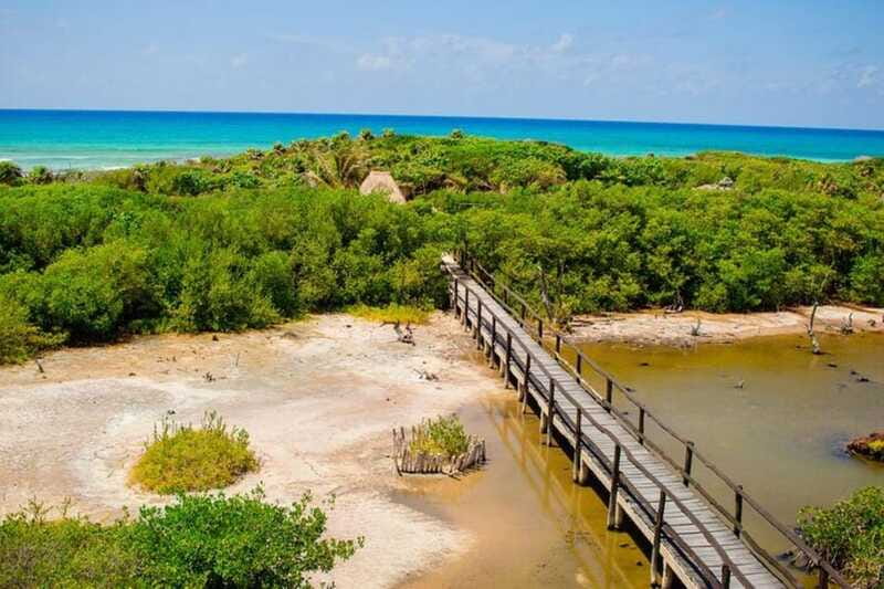 Cozumel: Private Buggy Tour to Punta Sur Park All Inclusive - How private is this private tour?