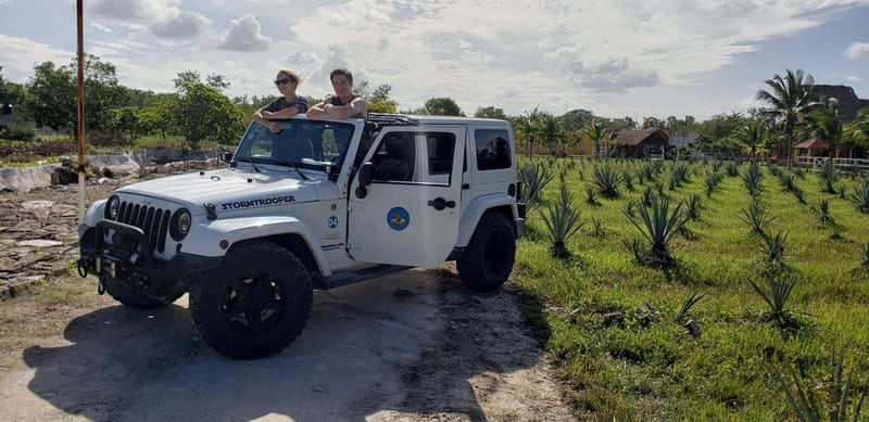 Cozumel Private Jeep Tour with Lunch and Snorkeling - Who should book this tour?
