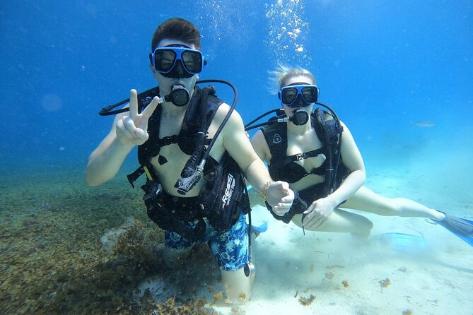 Cozumel Scuba Dive at Chankanaab - The caves and underwater statues