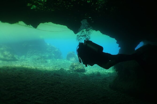 Cozumel Scuba Dive at Chankanaab - What happens after you return to shore
