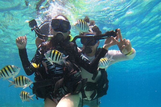Cozumel Scuba Dive at Chankanaab - Group size, pace, and the main drawback