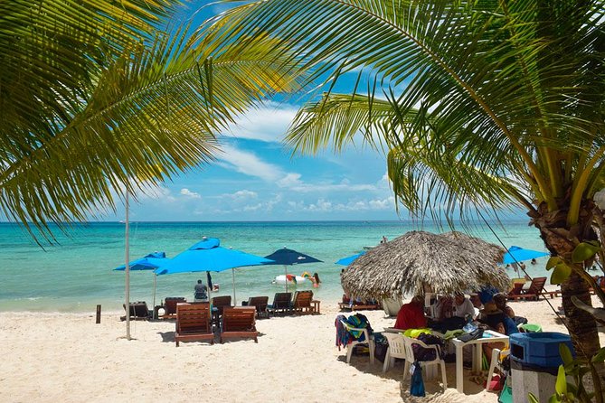 Cozumel Shore Excursion: 5-Hour Sightseeing Tour with Private Driver - El Mirador and the quieter east coast