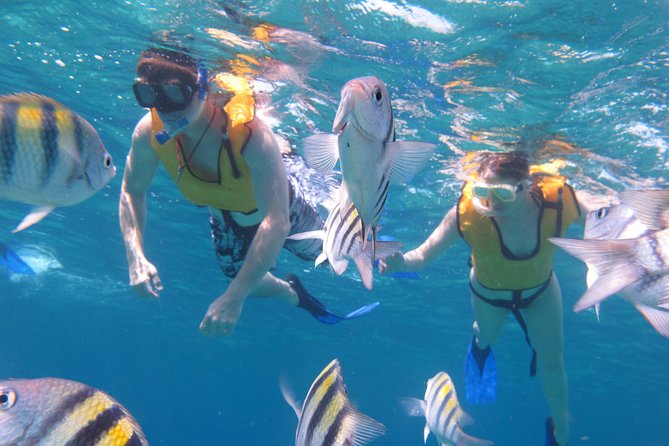 Cozumel Shore Excursion: Playa Uvas Private Beach Pass - Four hours of drinks, with strong pours and small glasses