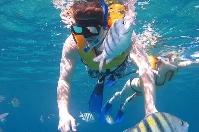 Cozumel Shore Excursion: Playa Uvas Private Beach Pass - Service is the club’s strongest asset