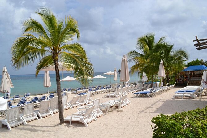Cozumel Shore Excursion: Playa Uvas Private Beach Pass - Getting from the port to the southern hotel zone