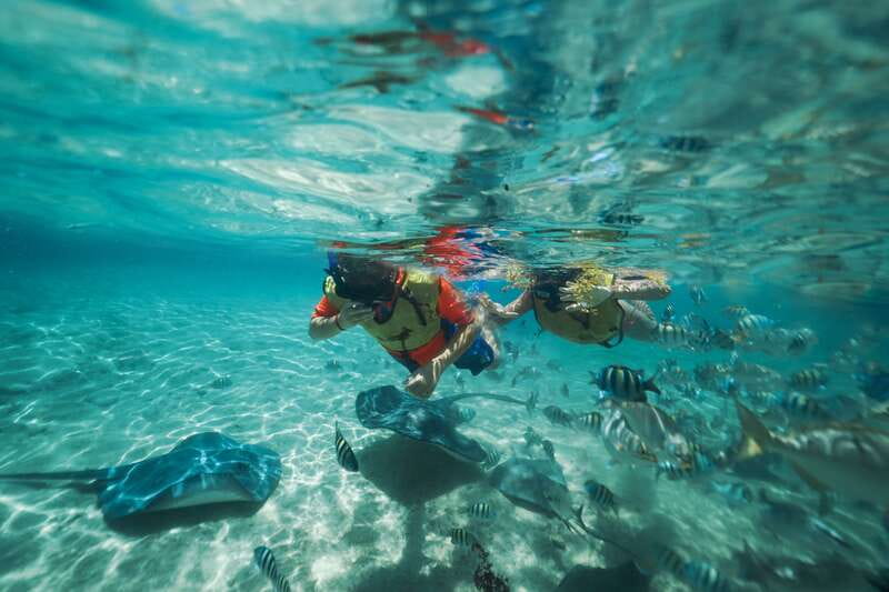 Cozumel: Snorkel and Swim with Stingrays - Key Details Before You Book