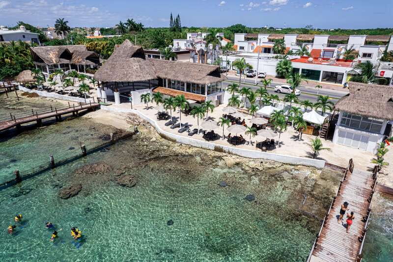 Cozumel: Snorkel and Swim with Stingrays - Meeting the Rays in Waist-Deep Water