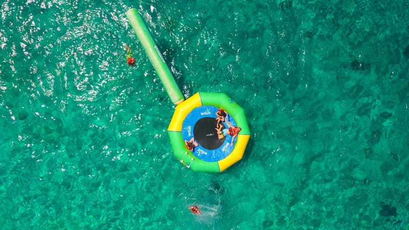 Cozumel: Snorkel and Swim with Stingrays - Snorkeling with Rays, Fish, and Rescued Coral
