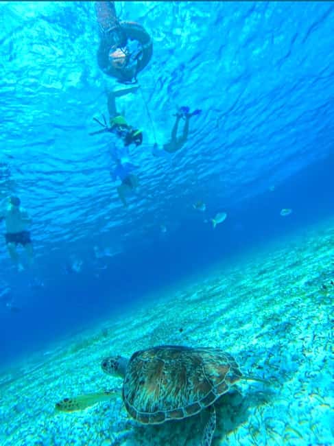 Cozumel: snorkeling on reefs + visit to "El Cielo" - Quick Points Before You Book