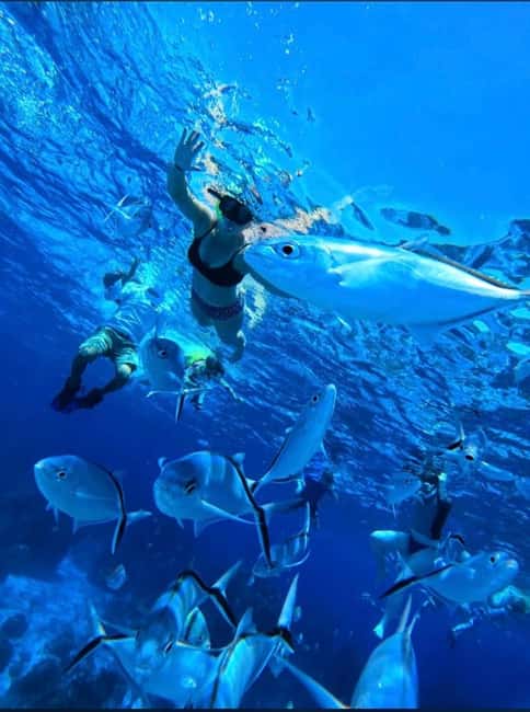 Cozumel: snorkeling on reefs + visit to "El Cielo" - Starting at Muelle Fiscal de Cozumel