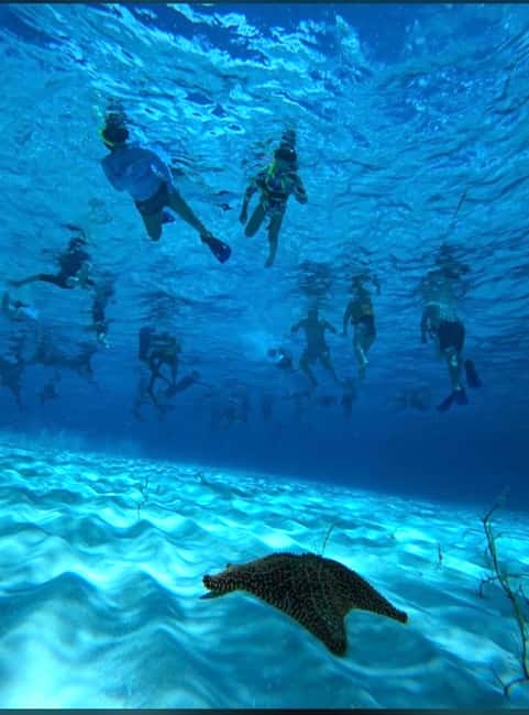 Cozumel: snorkeling on reefs + visit to "El Cielo" - Columbia Reef and the Value of a Guided Route