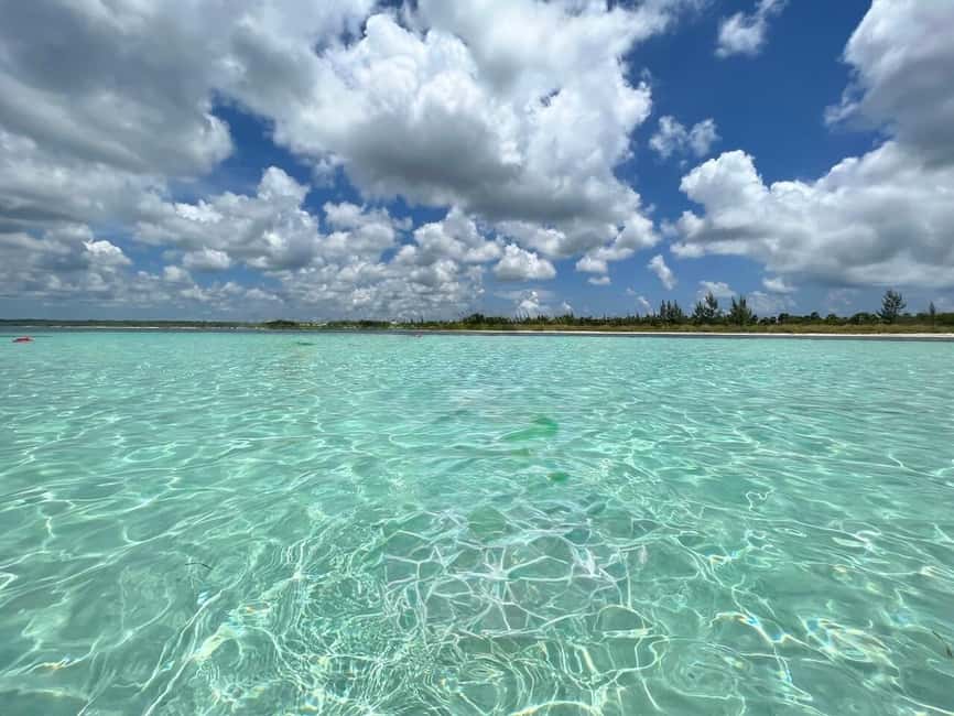 Cozumel: snorkeling on reefs + visit to "El Cielo" - Timing, Group Size, and the Cruise-Port Question