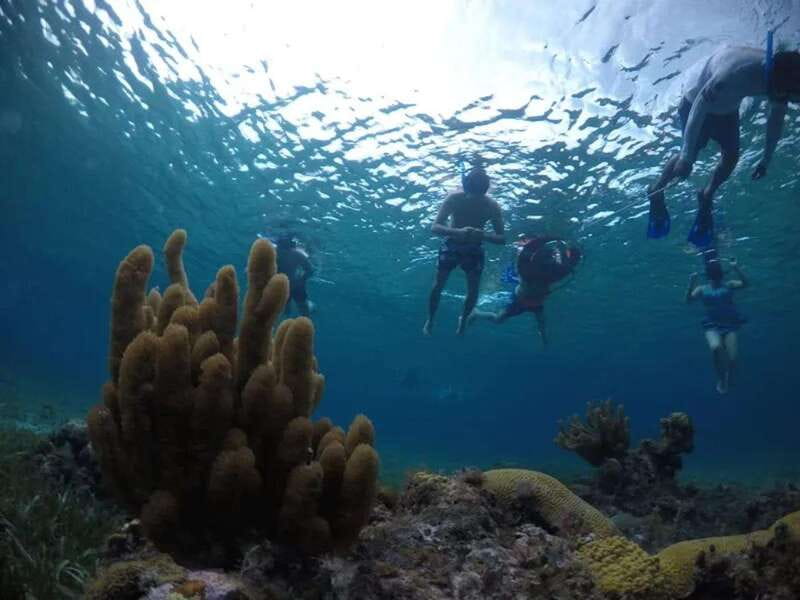 Cozumel: snorkeling on reefs + visit to "El Cielo" - Who Will Enjoy This Cozumel Snorkeling Tour?