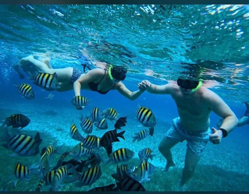 Cozumel: snorkeling on reefs + visit to "El Cielo" - Palancar Reef: A Short Look at Cozumel’s Coral World