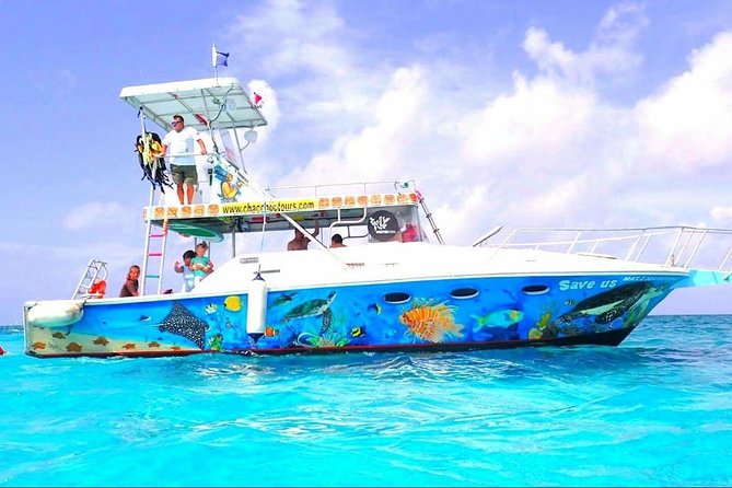 Cozumel Snorkeling Tour at Palancar & Colombia Reefs and El Cielo - Colombia Reef: the first serious look at Cozumel’s sea life