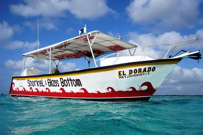 Cozumel Snorkeling Tour at Palancar & Colombia Reefs and El Cielo - Drinks, sandwiches, and the Mexican sunshine