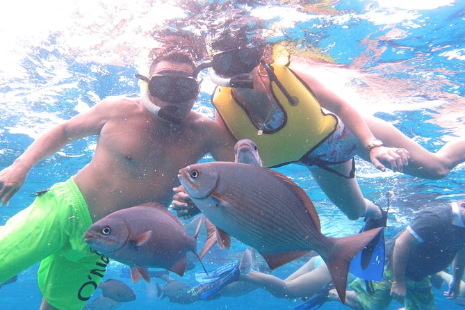 Cozumel Snorkeling Tour at Palancar & Colombia Reefs and El Cielo - Who should book, and who should skip it?