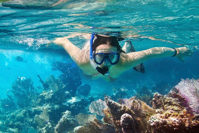 Cozumel Snorkeling Tour at Palancar & Colombia Reefs and El Cielo - Palancar Reef: the strongest reef stop