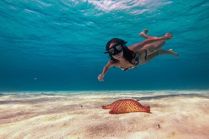 Cozumel Snorkeling Tour: Palancar, Columbia and El Cielo Reefs - Why this Cozumel snorkeling trip works well