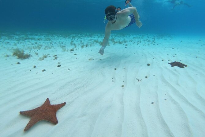 Cozumel Snorkeling Tour: Palancar, Columbia and El Cielo Reefs - Drinks, snack, and the value of a short tour