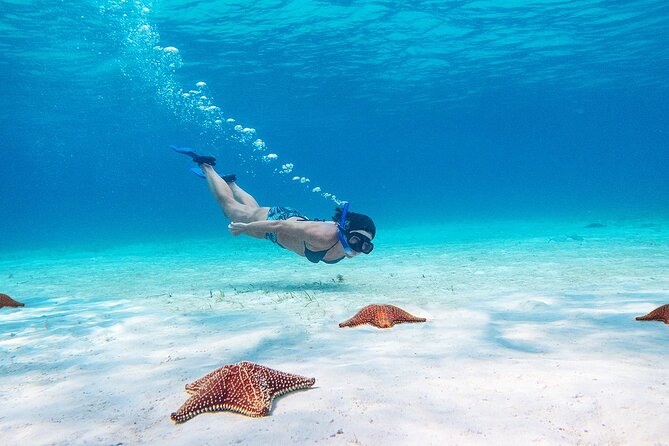 Cozumel Starfish and Tropical Reef Snorkeling by Powerboat with Lunch - Lunch on the boat keeps the program moving