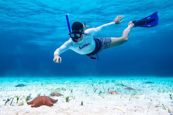 Cozumel Starfish and Tropical Reef Snorkeling by Powerboat with Lunch - Weather can change the plan