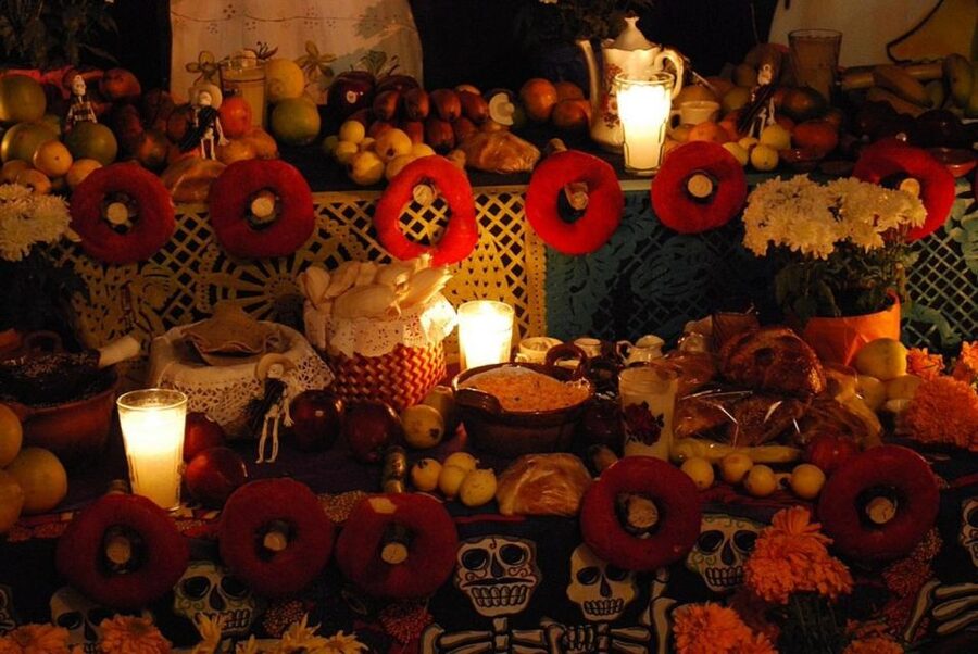 Day of the Dead Tour in San Andres Míxquic From Mexico City - Should you book the Mixquic Day of the Dead tour?